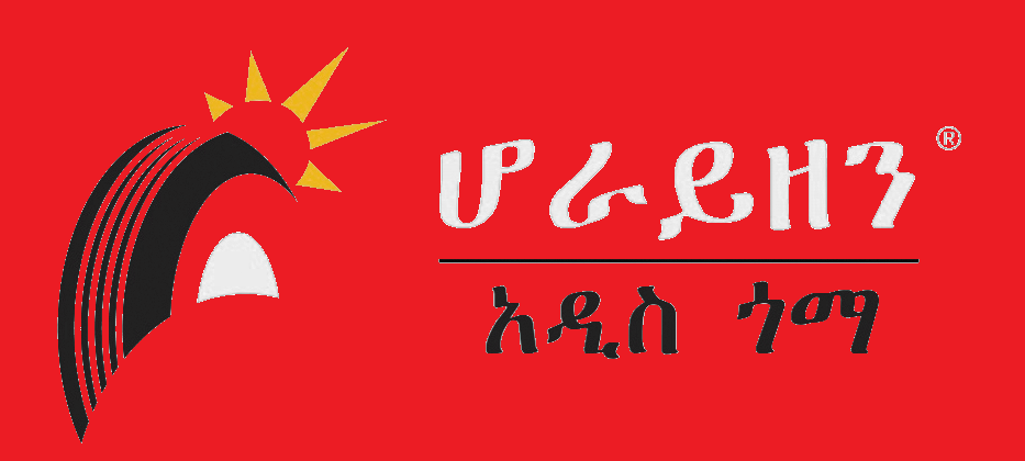 Horizon Addis Tyre S. C. 